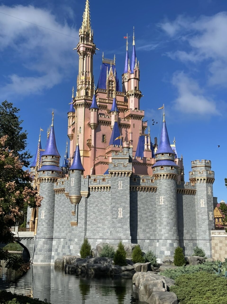Castle disney