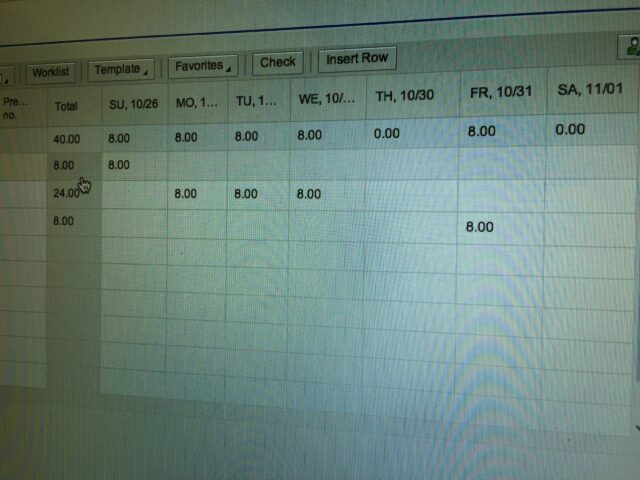 Corporate SAP weekly work-time sheet