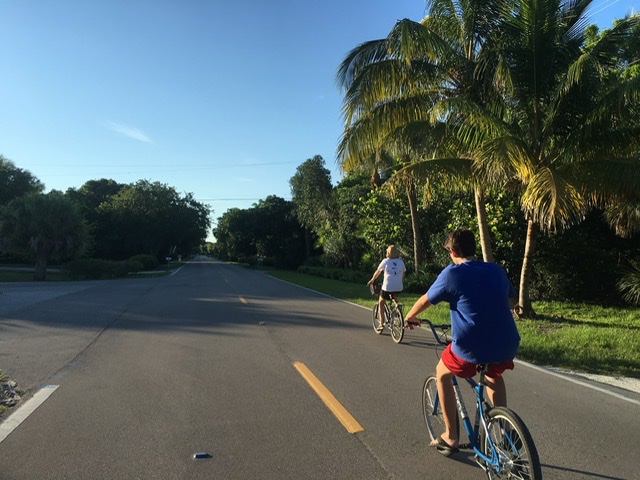 two people biking on palm tree lined road