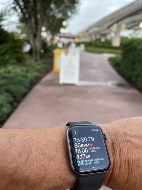 Apple Watch walk data