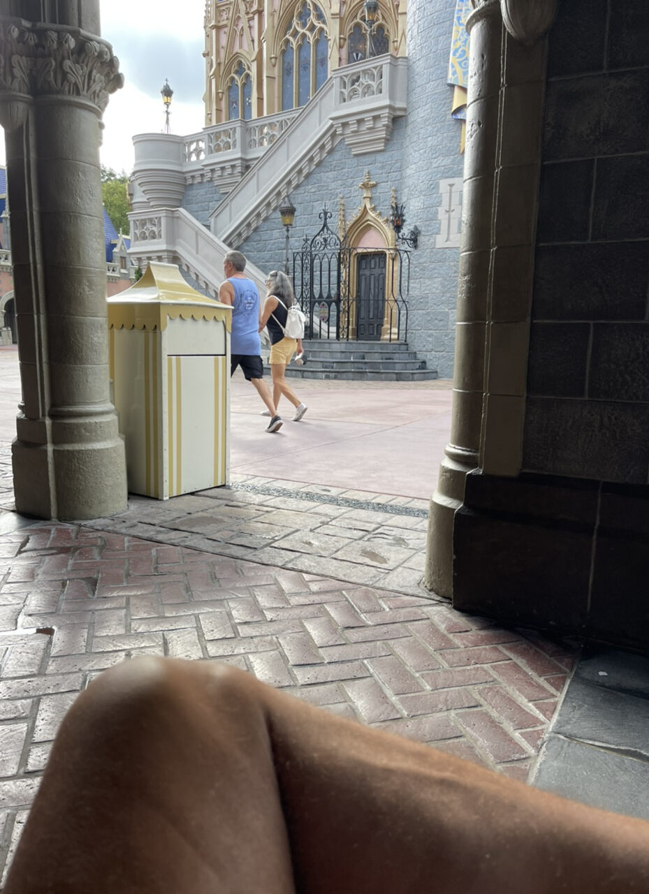 Cinderella Castle from the back