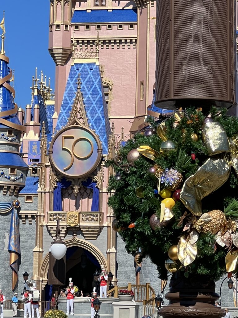 Cinderella castle