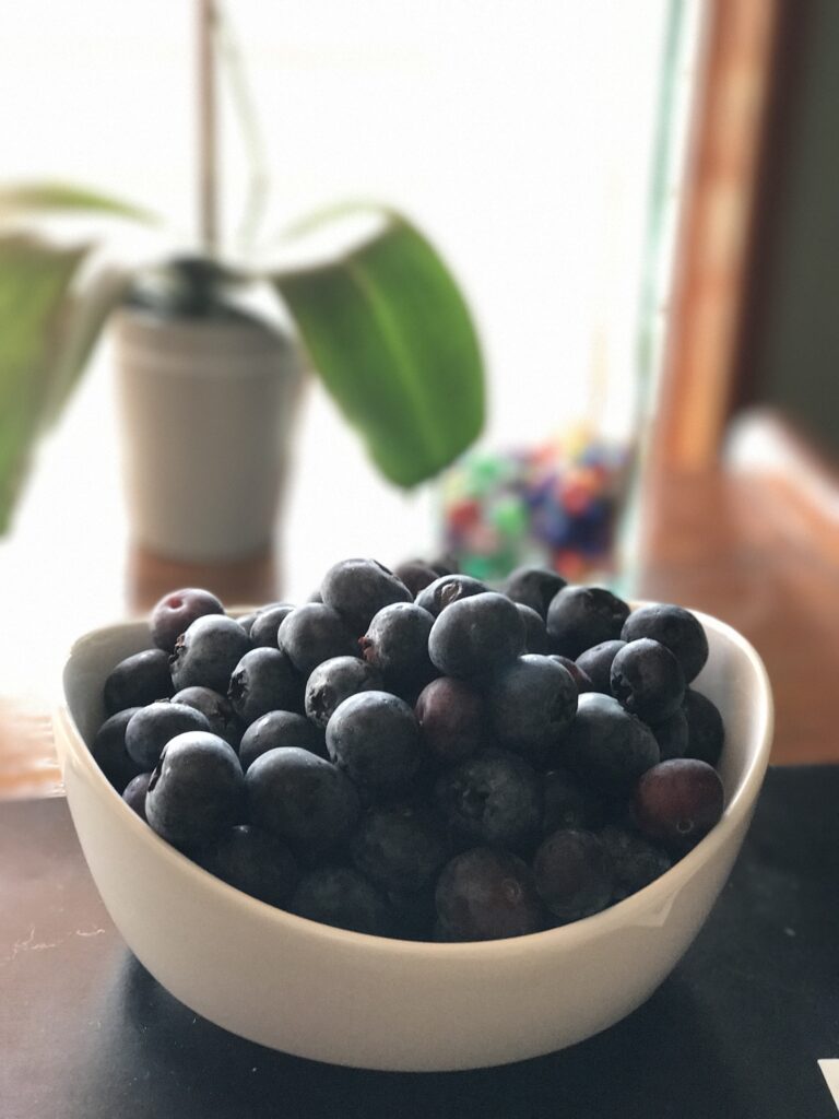 bowl of blueberries