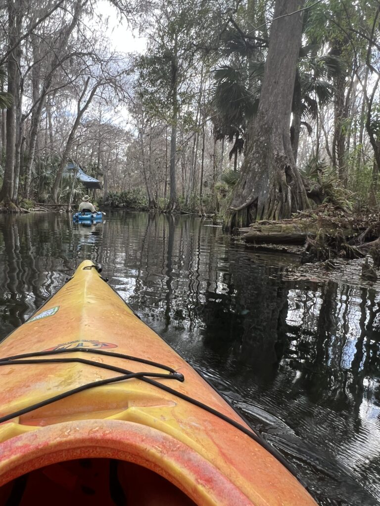 view from sitting in a kayak on a river