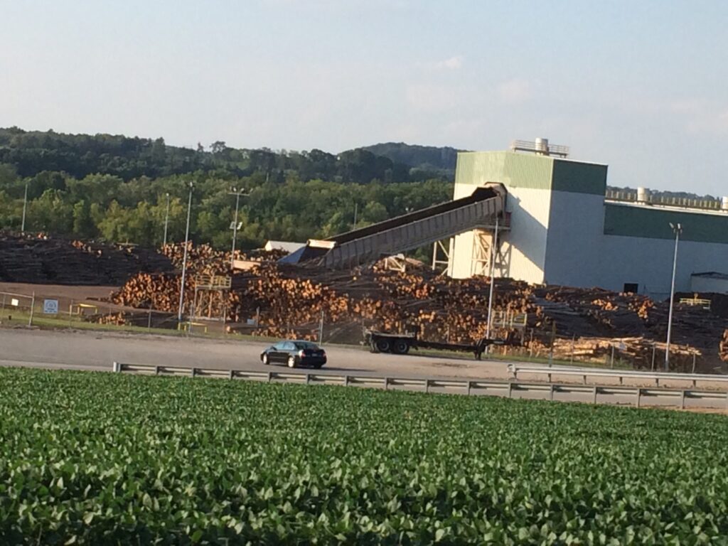 Paper Mill