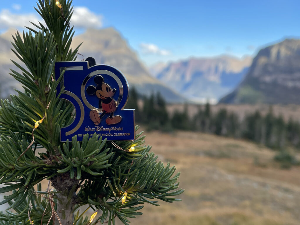 small pine tree with lights and a Disney 50th pin