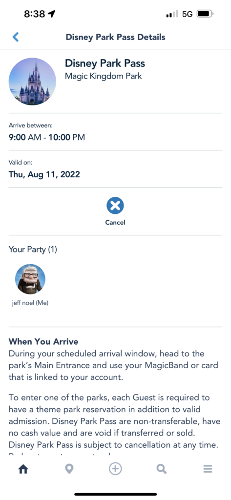 Disney ticket