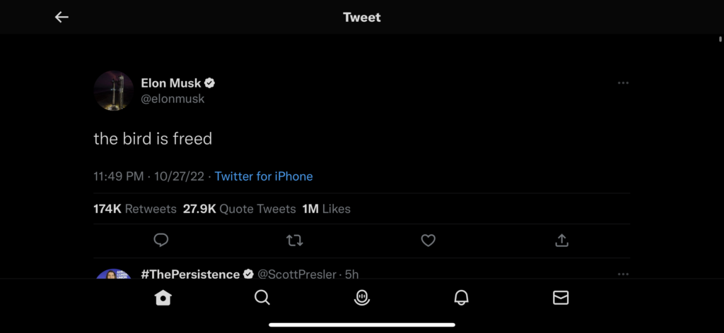 Elon Musk Twitter account screen shot